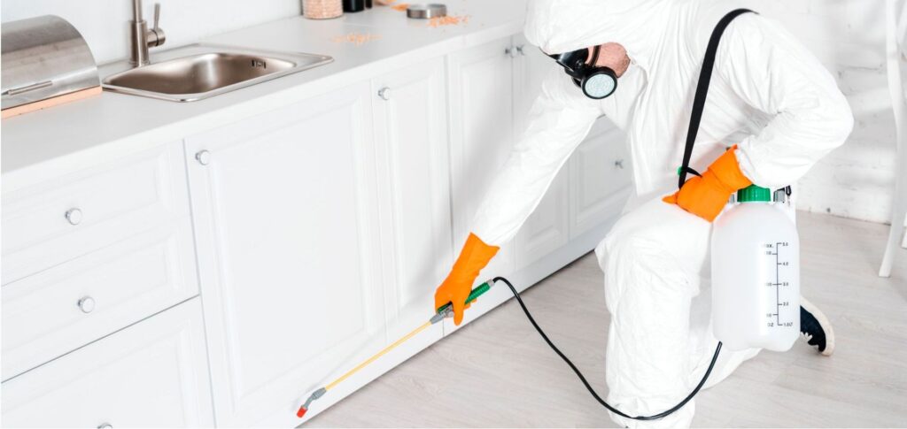 KEEP YOUR HOUSE PEST FREE WITH PEST CONTROL SERVICE
